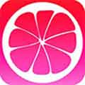 柚子视频app安卓最新版下载