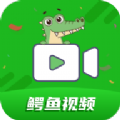 鳄鱼影视app