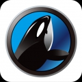 鲸交易所2024版app