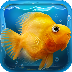 口袋水族馆
