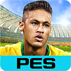 PES MANAGER