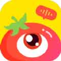 番茄派对app2020最新版下载