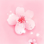 樱花草视频app免费版