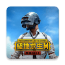 PUBG台服游戏(PUBG MOBILE)