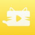 猫咪视频app安卓版