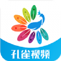 孔雀视频app