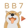 BB7视频app