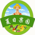 夏日果园游戏下载